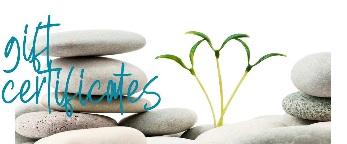 white rocks with small plant