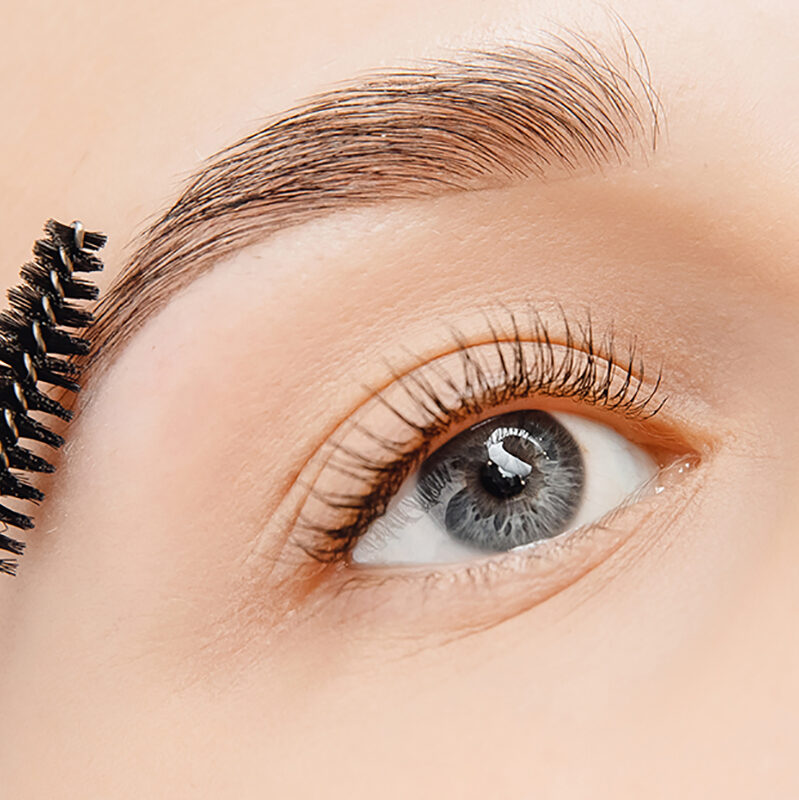 closeup of woman's eyes and brows